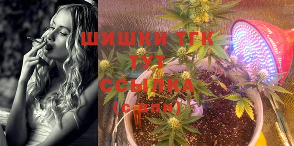 соль курить ск Бородино